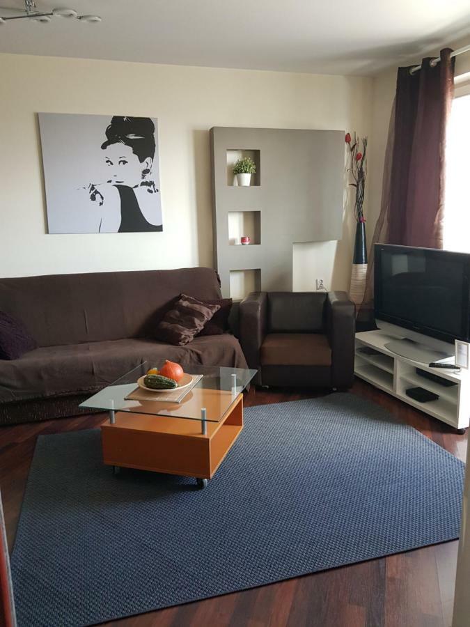 Top Loft Warsaw With Swimming Pool Appartement Buitenkant foto